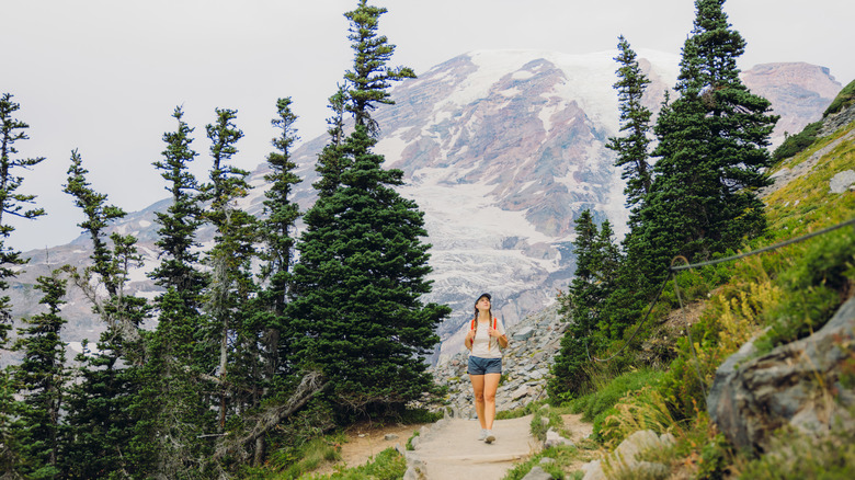 A hiker in Mount Rainier National Park