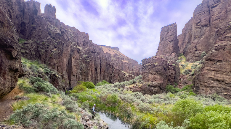 A fisherman standing in the Owyhee Canyonlands