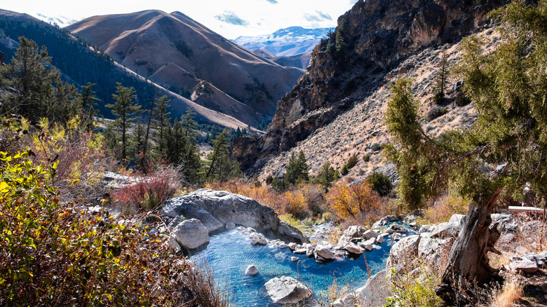A hot spring in the Salmon-Challis National Forest