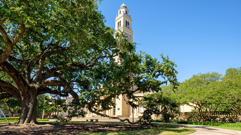 Memorial Tower building towering above Louisiana State University campus