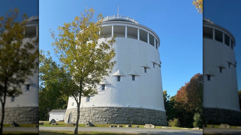 Thomas Hill Standpipe, a large circular white tower with windows spiraling up the side, behind a tree under a blue sky