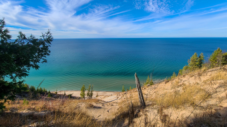 a view of Lake Michigan from sandy and grassy dunes