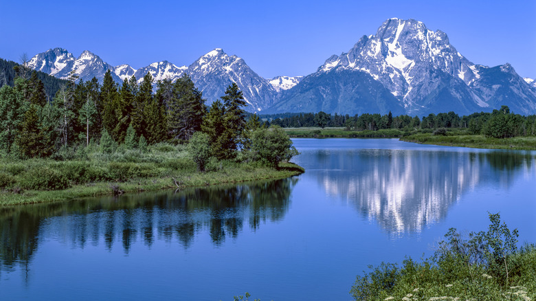 view of Mount Moran in distance from banks of Snake River