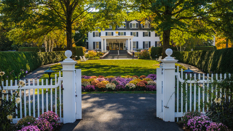 A large array of colorful chrysanthemums greet visitors and guests as they enter the gates of the beautiful and stately Woodstock Inn in Woodstock, Vermont.