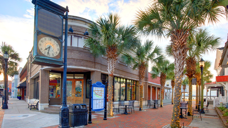 Buildings and palm trees in Beaufort, South Carolina