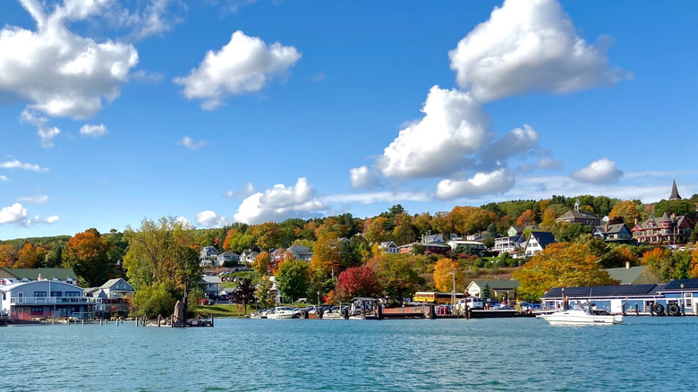 Houses amongst trees on a hill next to the water