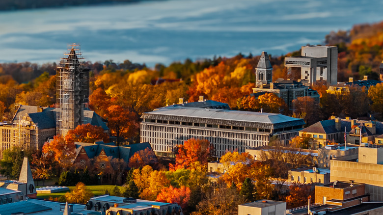 An aeriel view of the town of Ithaca, New York