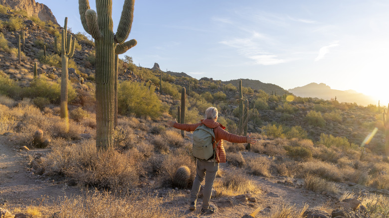 A man greets the sun in the Arizona desert