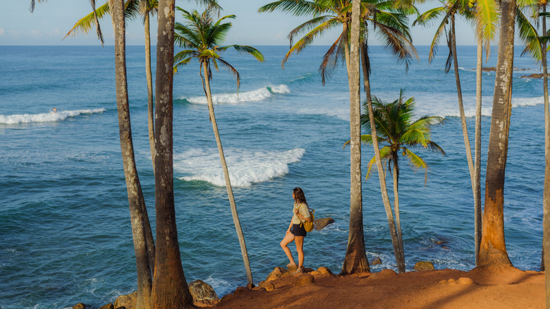 A person stands between palm trees overlooking the coast of Sri Lanka