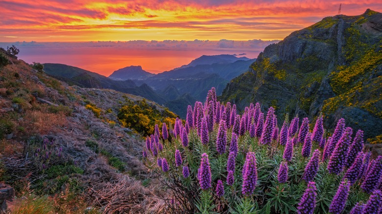 Pico do Arieiro, Madeira, Portugal
