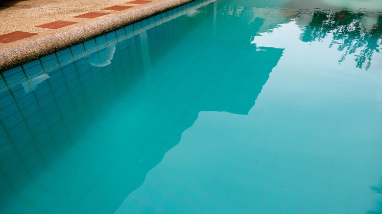 A swimming pool with cloudy, murky water.