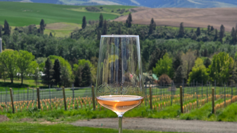 A glass of wine with Walla Walla's rolling hills in the background