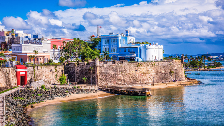 Buildings and palm trees by the shore in San Juan, Puerto Rico