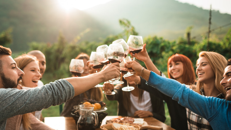 Tourists at a winery, toasting over a table with vineyards in the background