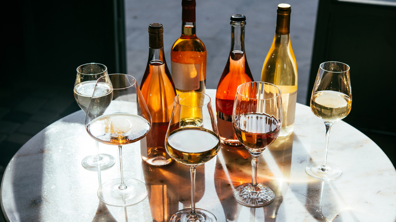 Multiple bottles of wine, with tasting samples poured into glasses, arranged on a table