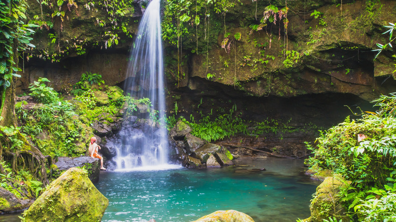 Morne Trois Pitons National Park Emerald Pool in Dominica