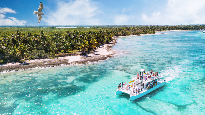 Bird flying over a ship in the water in Punta Cana, Dominican Republic
