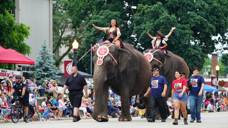 Performers riding elephants at Baraboo's annual Big Top Parade