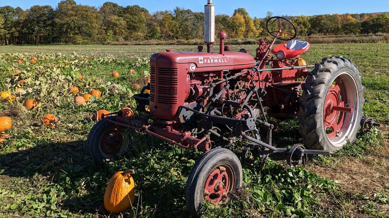 A tractor sitting in foreground of pumpkin patch