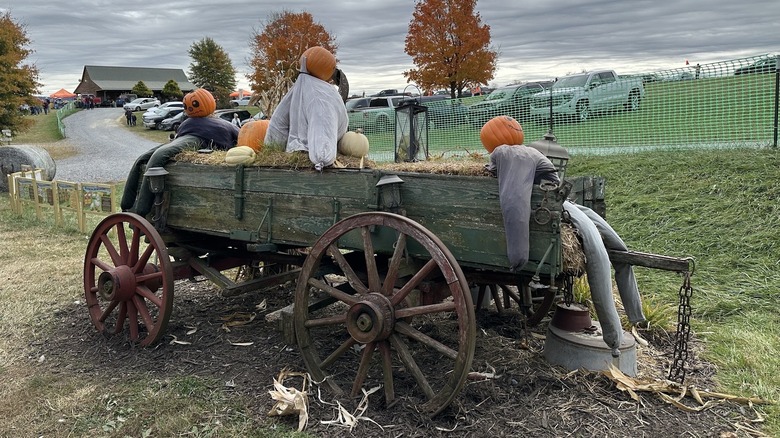 A wagon with pumpkin scarecrows at Sinkland Farms