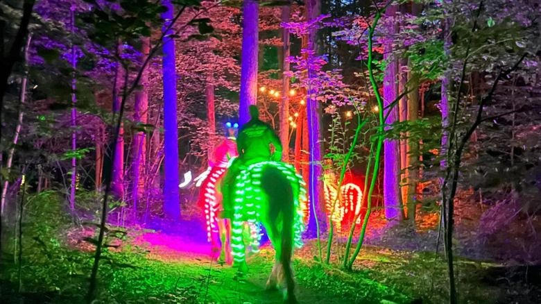 Horses don green, pink, red, and yellow lights that tint the forest in neon colors during a night glow horseback ride experience in Allegan, Michigan.