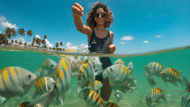Young woman in water holding up hand as yellow and silver fish come to surface