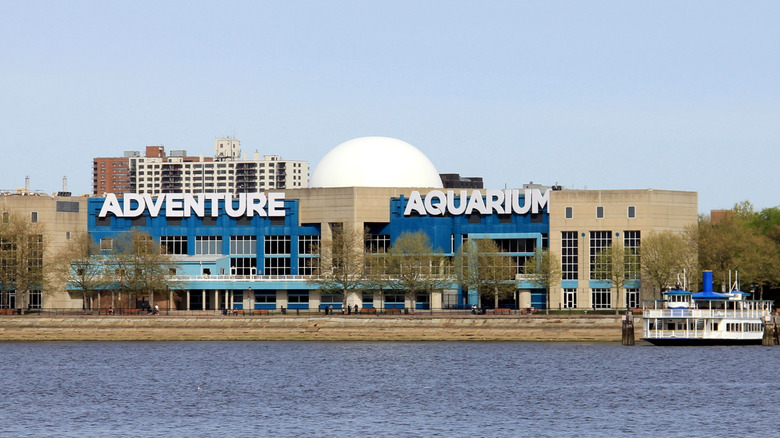 View of Adventure Aquarium