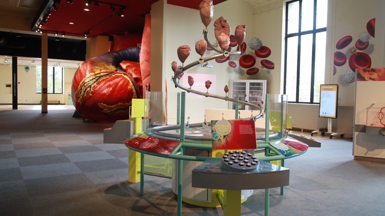 View of the Body Odyssey exhibit at The Franklin Institute