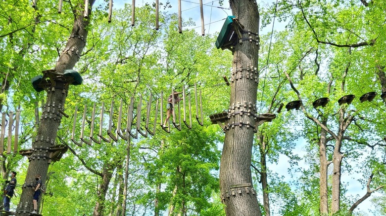 View of an obstacle course at Treetop Quest Philly