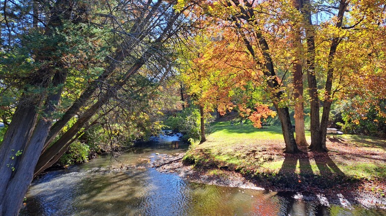 Fall foliage and a creek at Forest Park in Springfield, Massachusetts