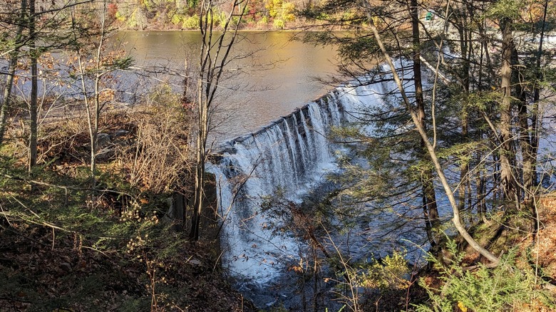 A waterfall at Robinson State Park