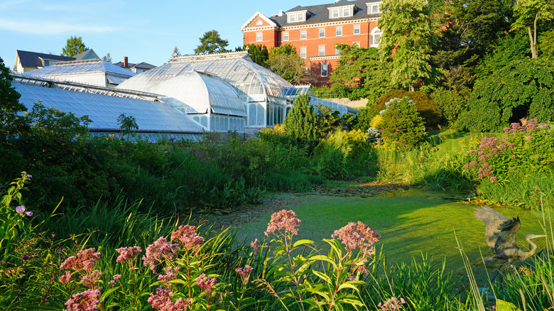 View of the conservatory at Botanic Garden of Smith College
