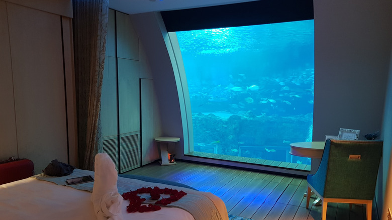The interior of an underwater hotel room at Resorts World Sentosa, Singapore