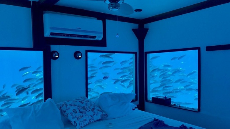 The underwater room with fish swimming outside the window at The Manta Resort, Tanzania