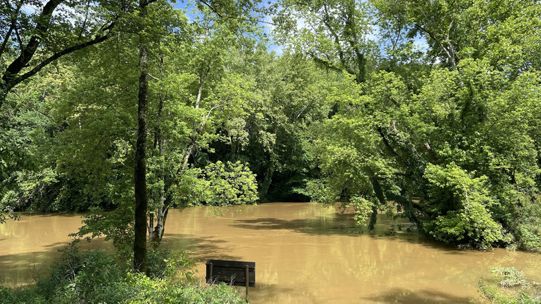 View over river and trees on the Echo Spring Trail at Mammoth Cave National Park