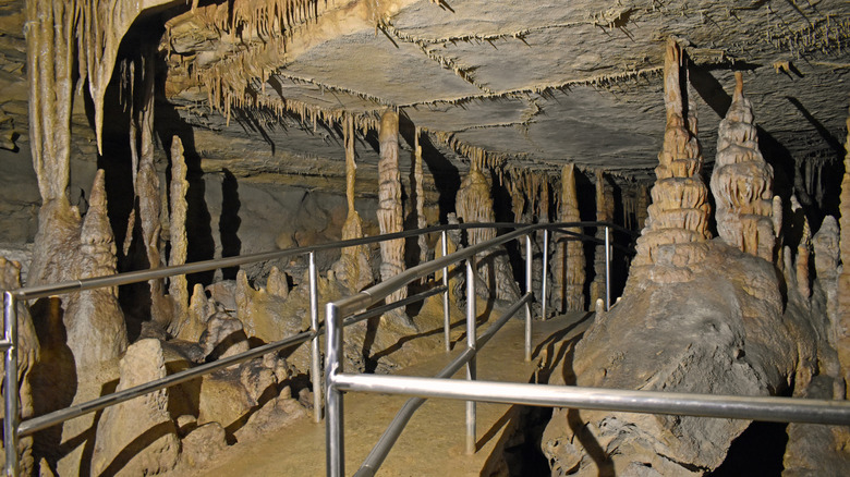 Stalagmites of the Macaroni Factory in Great Onyx Cave at Mammoth Cave National Park