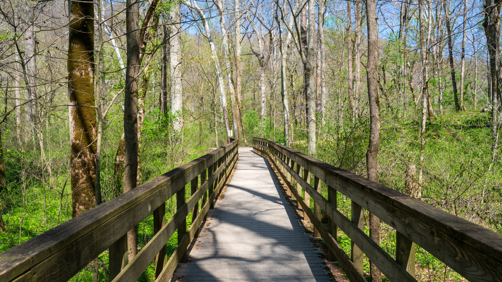 6 Secret Spots In Kentucky's Mammoth Cave National Park That Most Tourists Miss