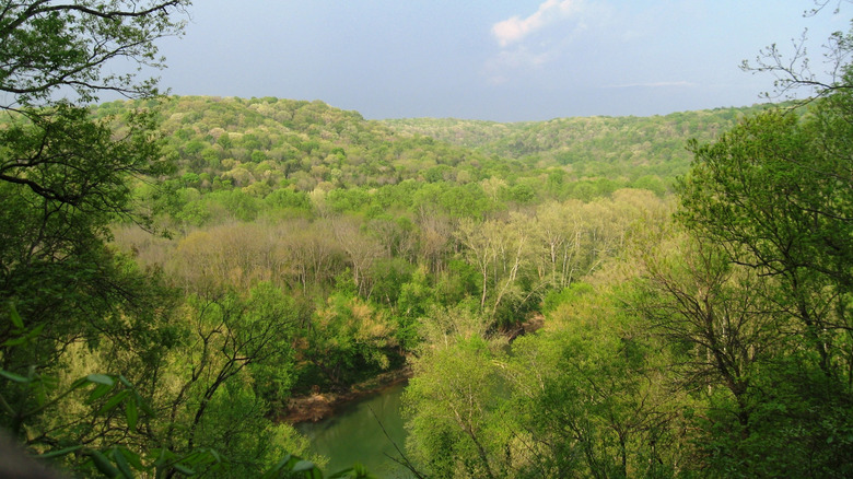 View of river and valley from the Green River Bluffs Overlook in Mammoth Cave National Park