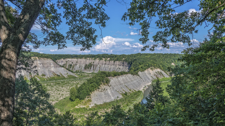 A bend in the Genesee River Gorge from Hogsback Overlook at Letchworth State Park