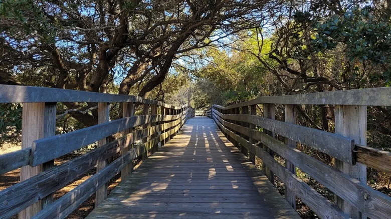 The boardwalk that cuts through Jockey's Ridge State Park
