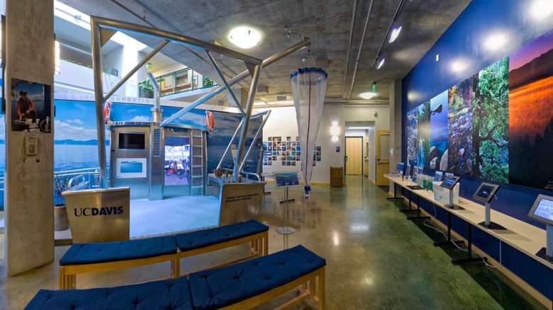 Colorful exhibits and displays inside the UC Davis Tahoe Environmental Research Center showcase Lake Tahoe's ecology, wildlife, and research.