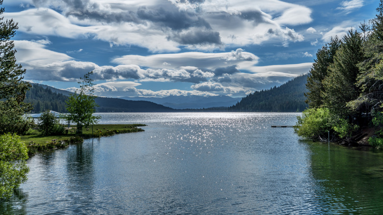 A view of Donner Lake near Truckee, California, with shimmering blue water and beautiful cloud formations in the sky.