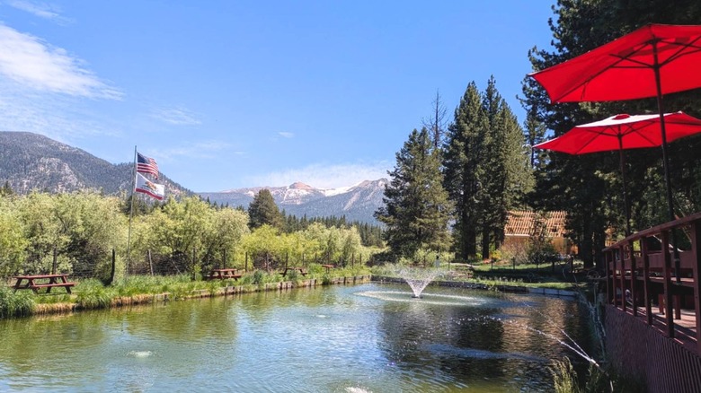 A small pond near a wooden deck with red umbrellas with an American and California flag on a flagpole surrounded by the Lake Tahoe forests.