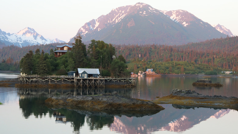 Halibut Cove, Alaska
