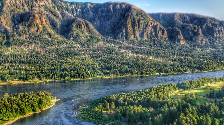 A rocky gorge covered with green trees and a large river running through it splitting off into two