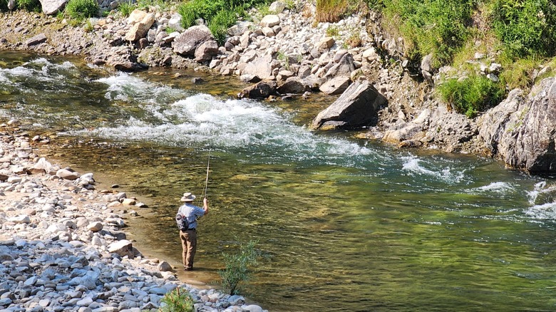 A man casting a fishing line out into a clear river with a rocky shore and hillside with long thick grasses