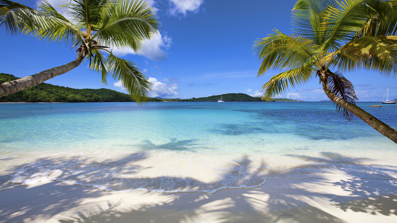 Best Snorkeling Spots in St. John | Salomon Bay