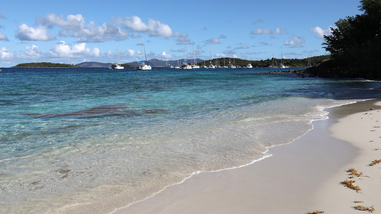 Salomon Bay beach