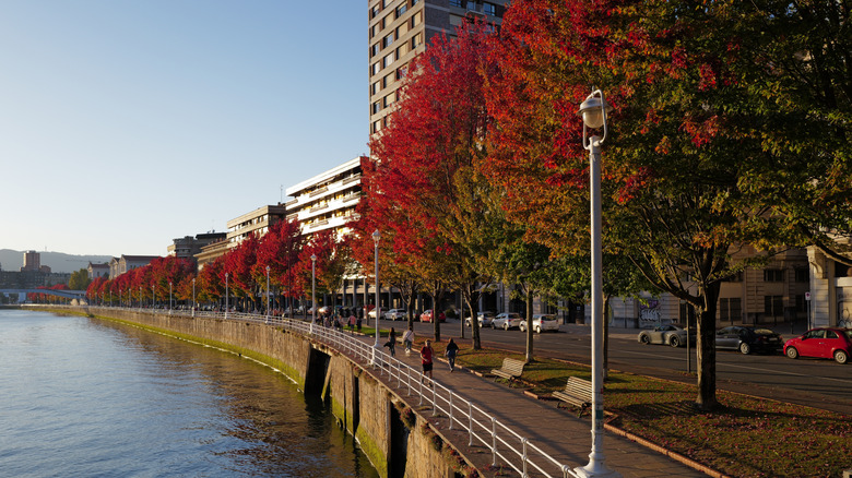 Autumn colors on the waterfront of Bilbao, Spain.