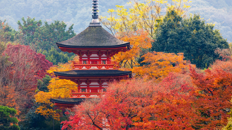Sunrise over Kiyomizu-dera Temple in Kyoto with autumn foliage.